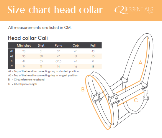 Недоуздок Кайли от Stable.by