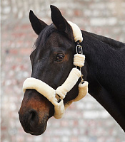 Недоуздок  Кози от Stable.by