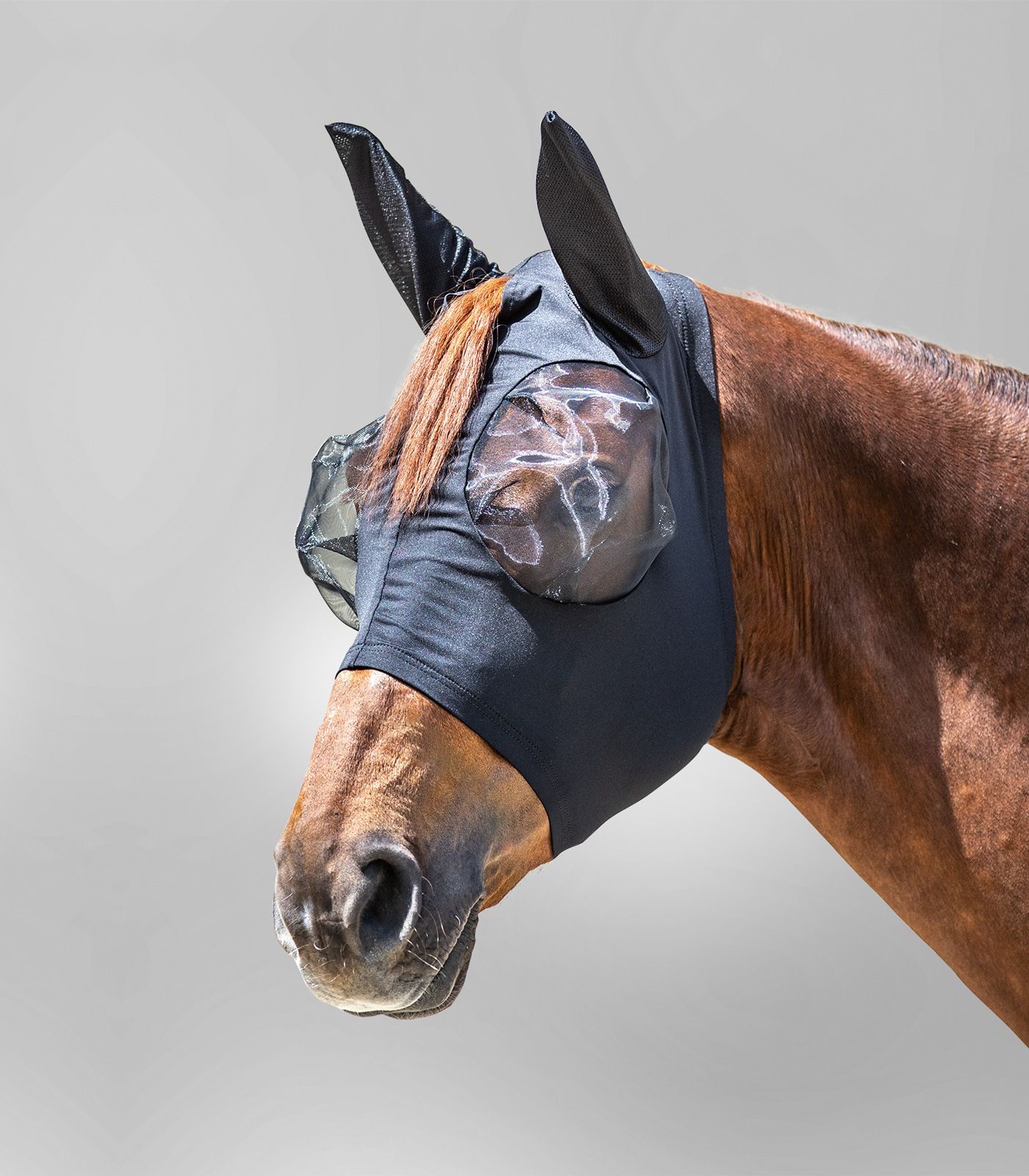 Маска москитная Пак от Stable.by