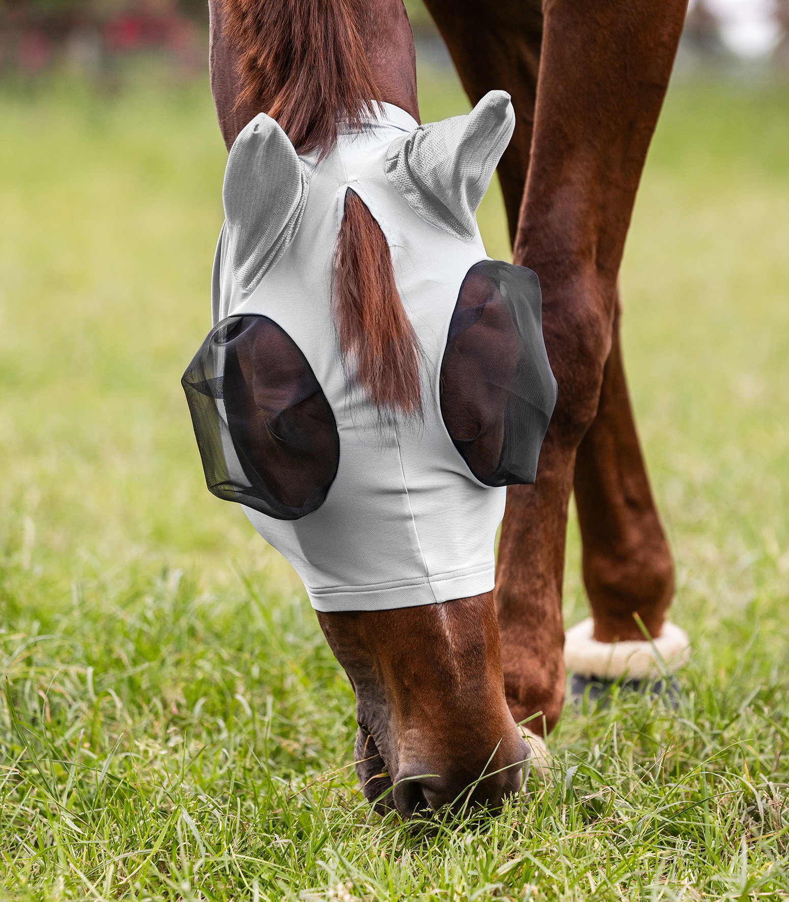 Маска москитная Пак от Stable.by